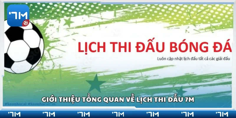 Tổng quan về lịch thi đấu 7m